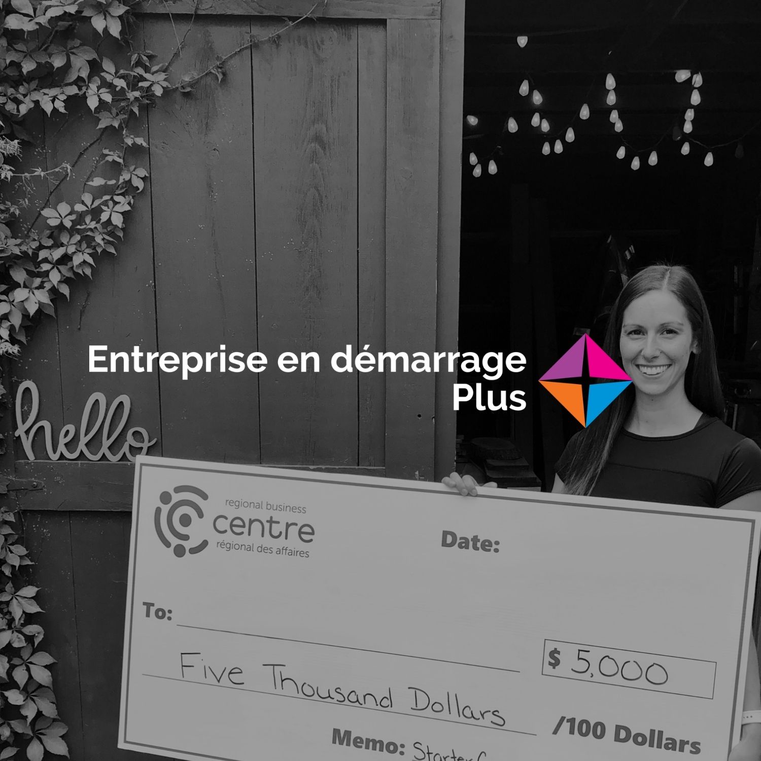 entreprise en demarrage plus